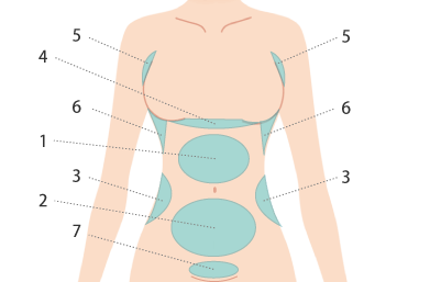 お腹・胸の脂肪の画像