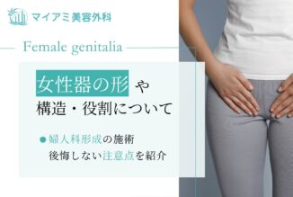 女性器の形や構造・役割について｜婦人科形成の施術・後悔しない注意点を紹介