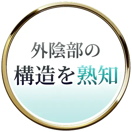 外陰部の構造を熟知