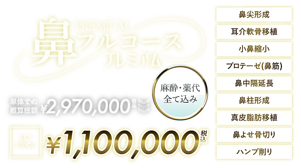 鼻フルコースプレミアム　￥1,100,000